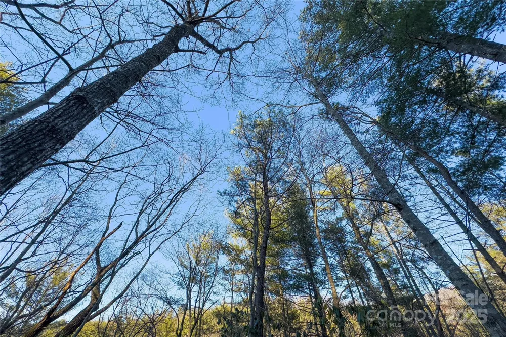 LOT #84 Little Fox Run Marion, NC 28752