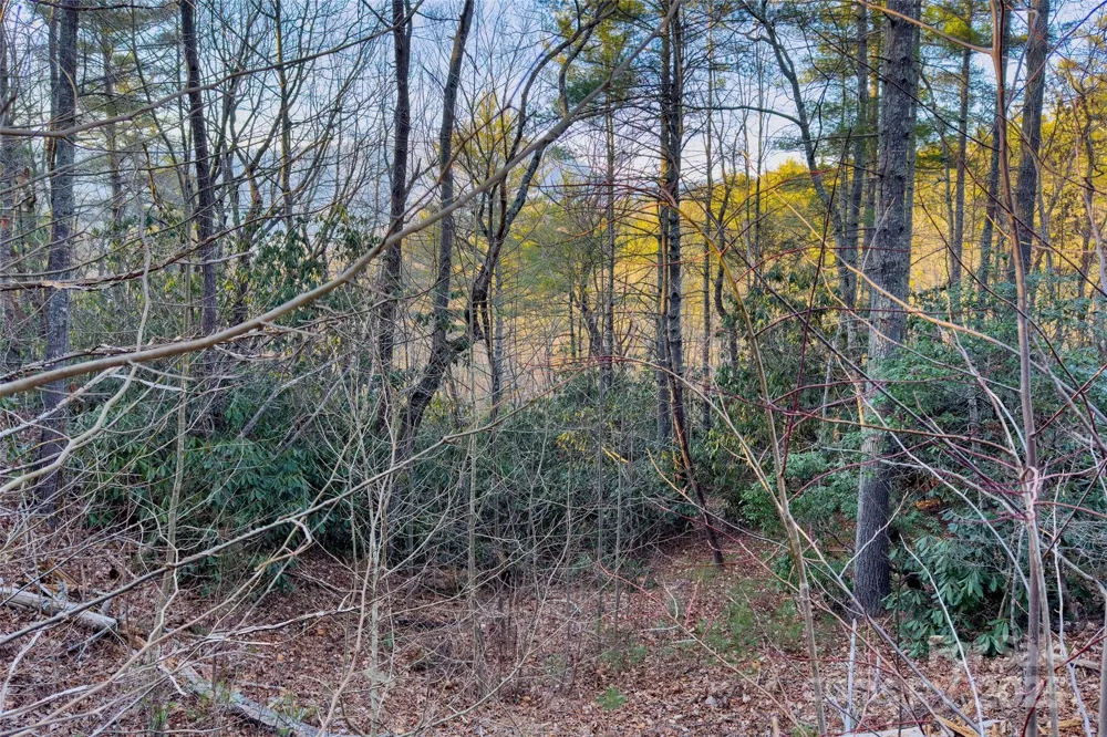 LOT #84 Little Fox Run Marion, NC 28752