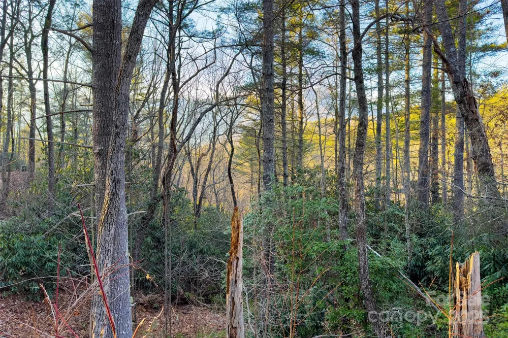 LOT #84 Little Fox Run Marion, NC 28752