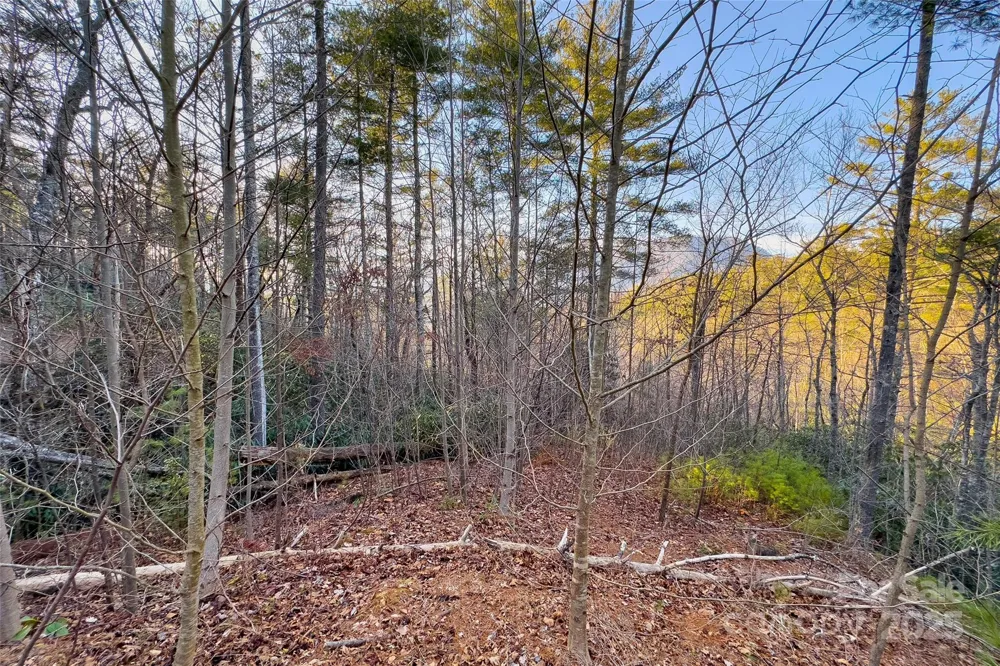 LOT #84 Little Fox Run Marion, NC 28752