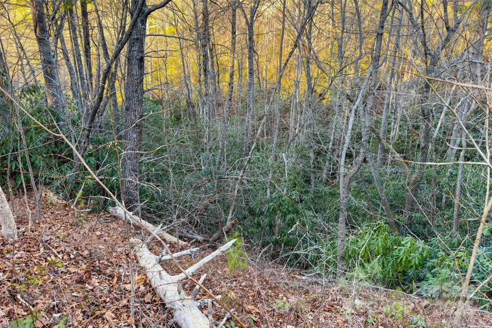 LOT #84 Little Fox Run Marion, NC 28752