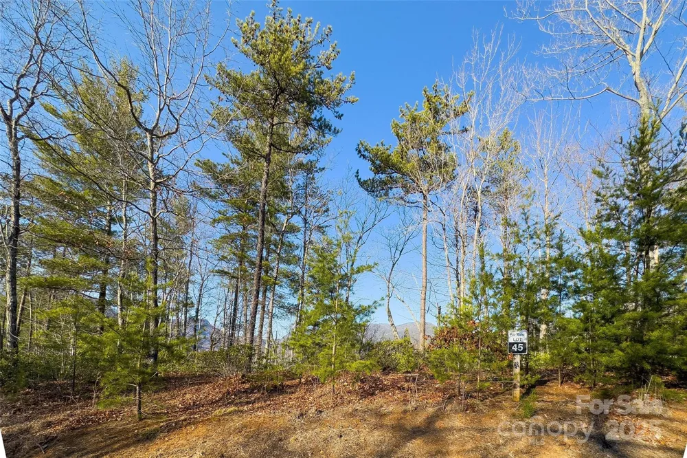Lot #45 Fox Ridge Trail Marion, NC 28752