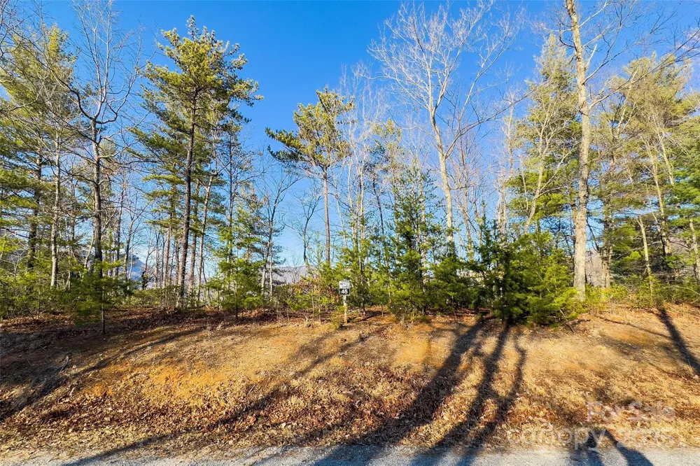 Lot #45 Fox Ridge Trail Marion, NC 28752