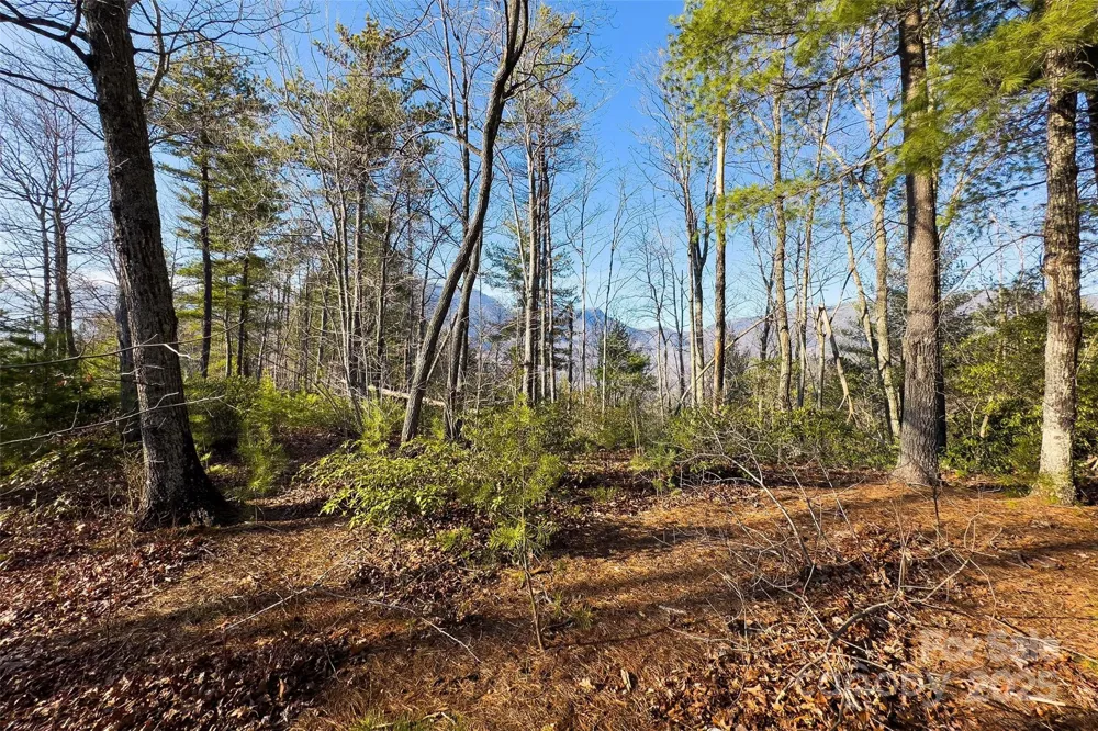 Lot #45 Fox Ridge Trail Marion, NC 28752