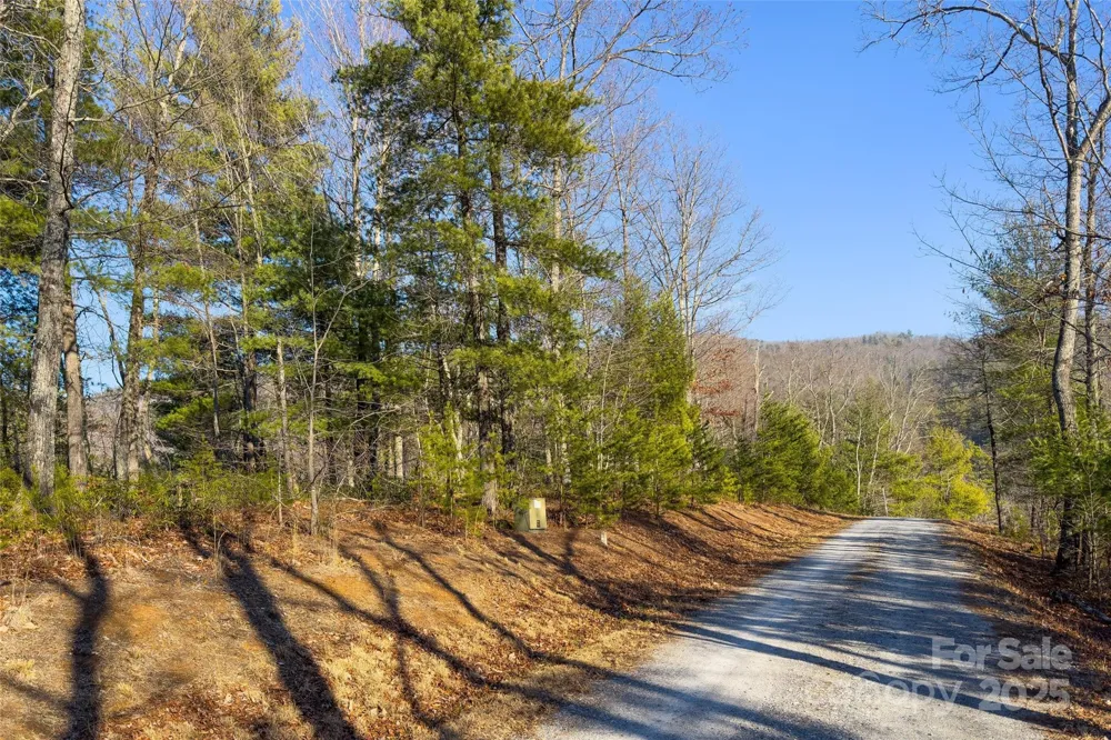 Lot #45 Fox Ridge Trail Marion, NC 28752