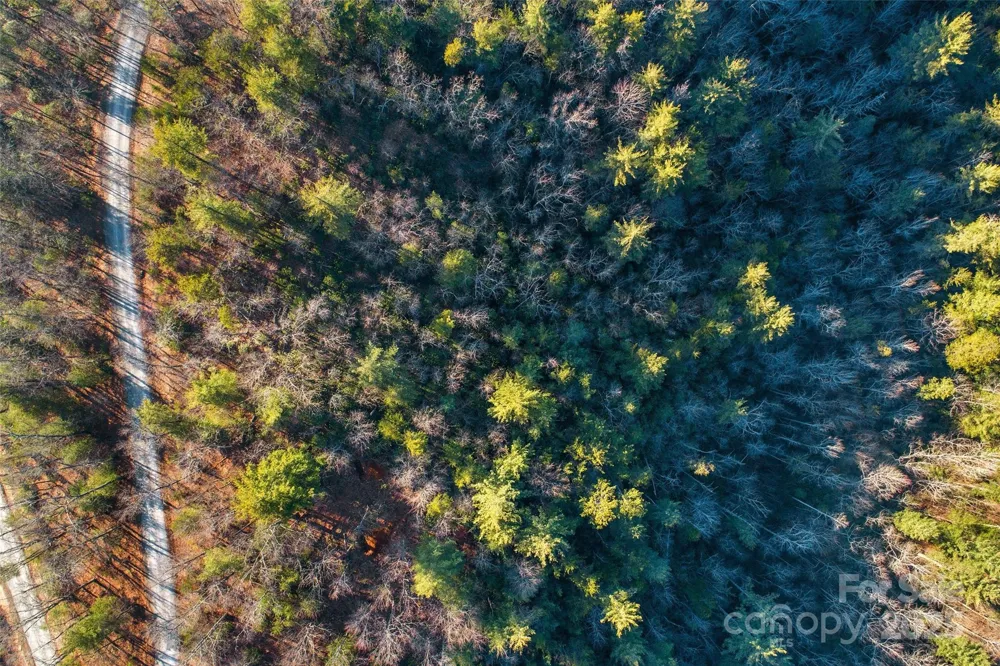 Lot #45 Fox Ridge Trail Marion, NC 28752