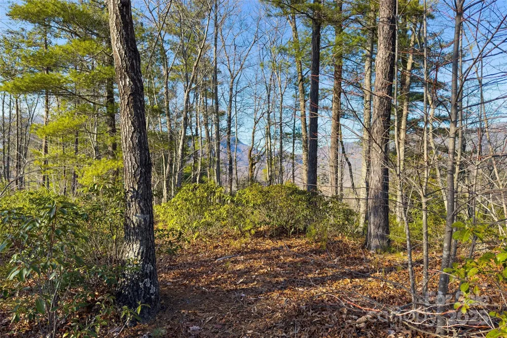 Lot #45 Fox Ridge Trail Marion, NC 28752
