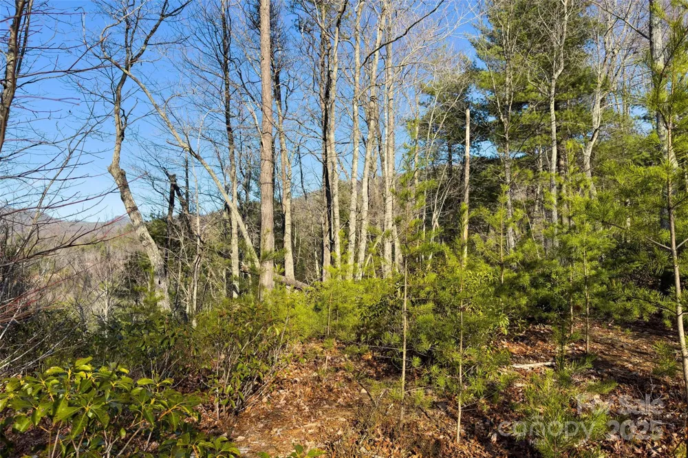 Lot #45 Fox Ridge Trail Marion, NC 28752