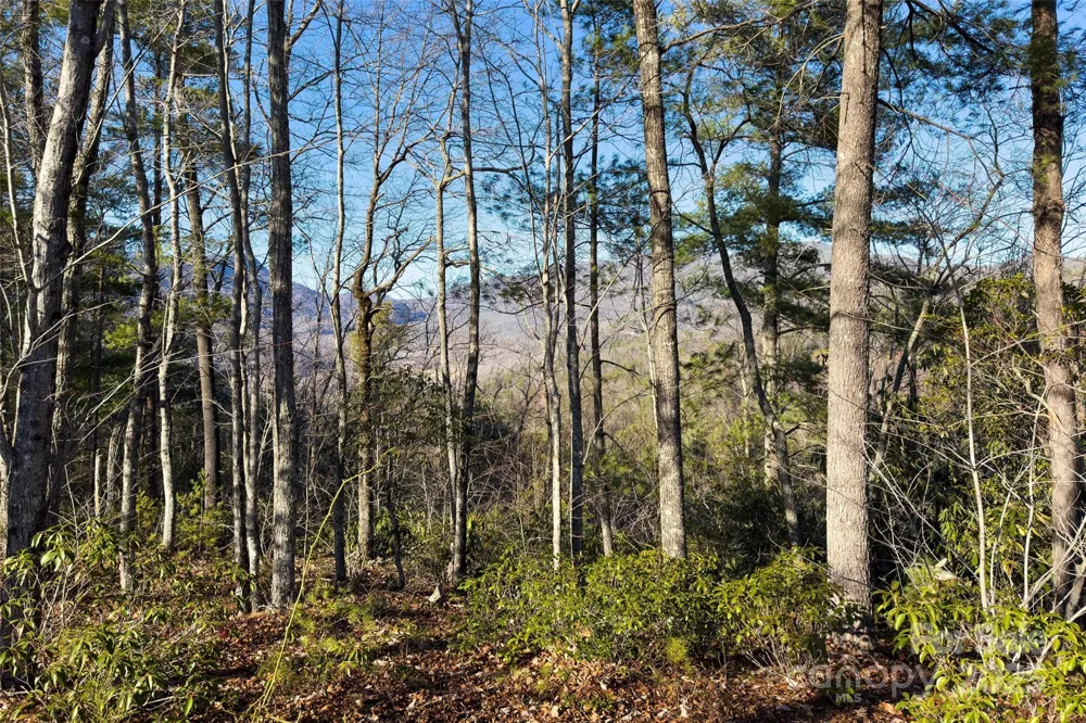 Lot #45 Fox Ridge Trail Marion, NC 28752