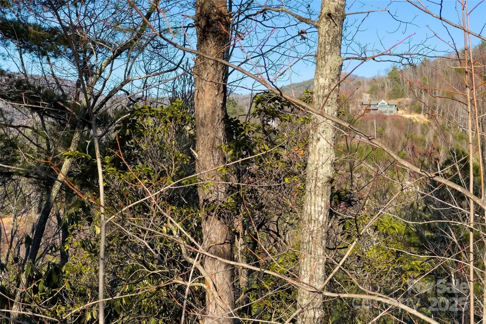 Lot #45 Fox Ridge Trail Marion, NC 28752