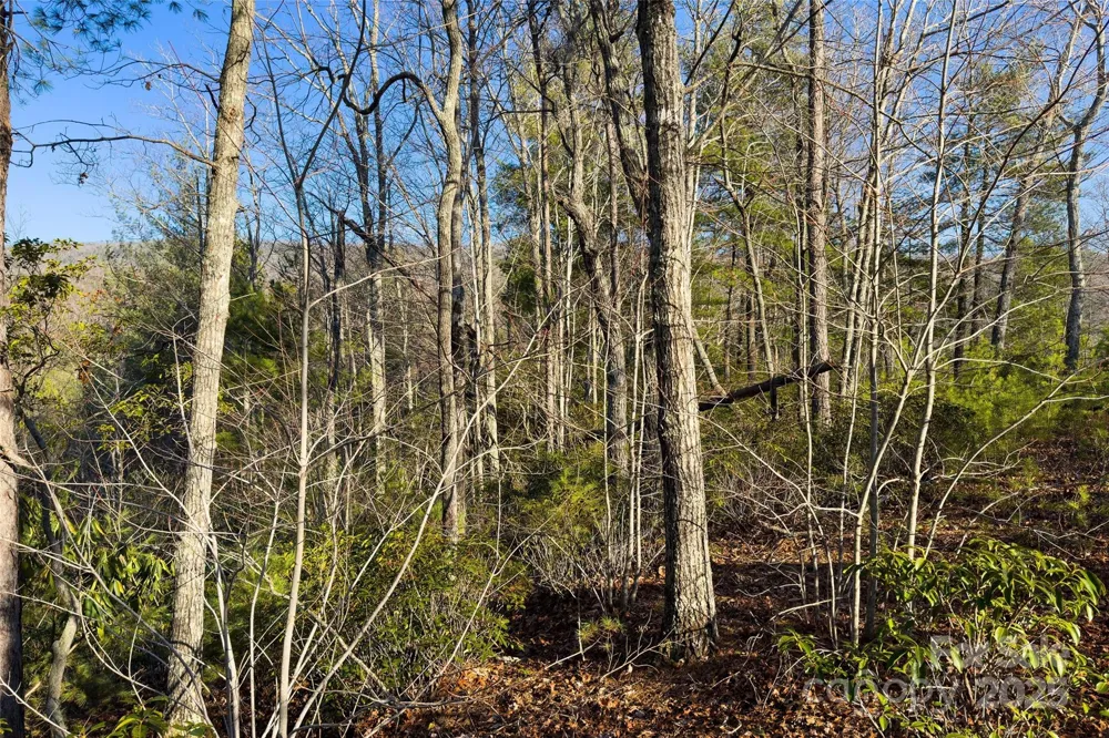 Lot #45 Fox Ridge Trail Marion, NC 28752
