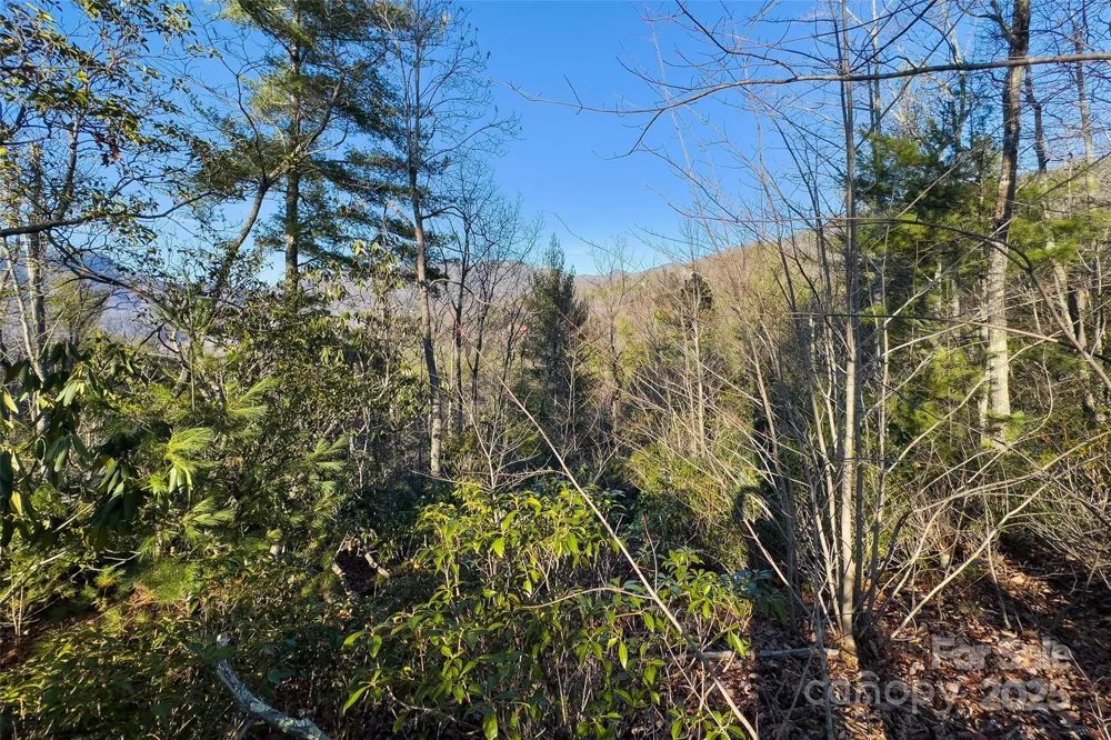 Lot #45 Fox Ridge Trail Marion, NC 28752