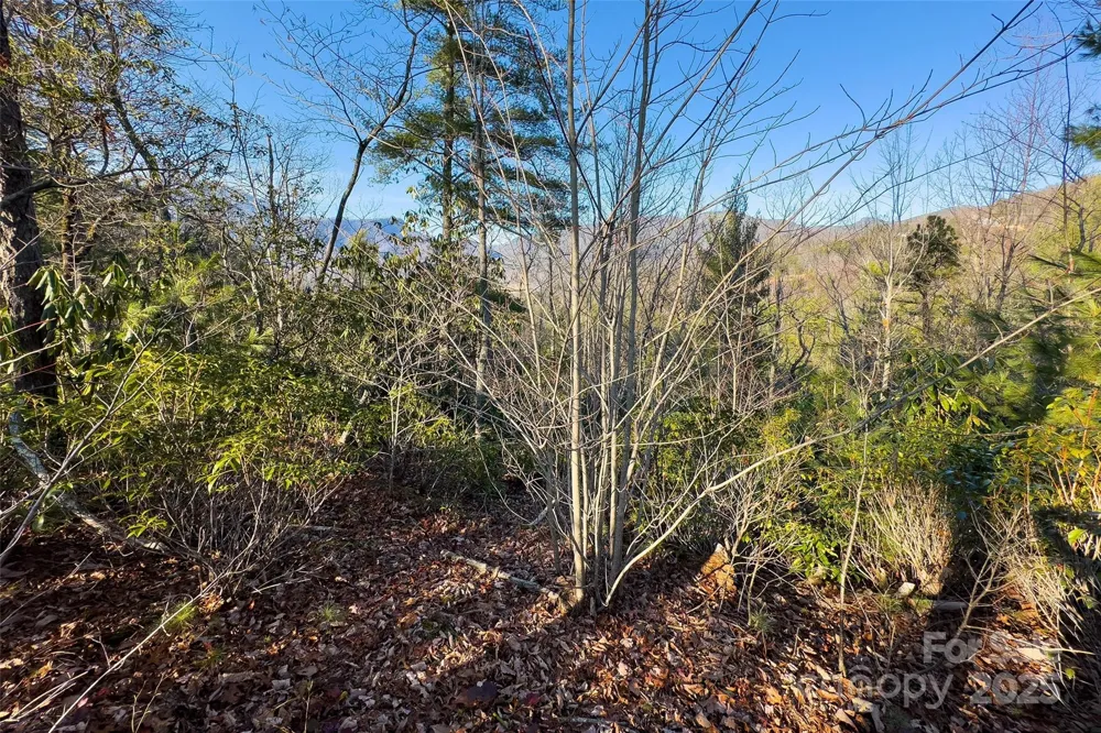 Lot #45 Fox Ridge Trail Marion, NC 28752