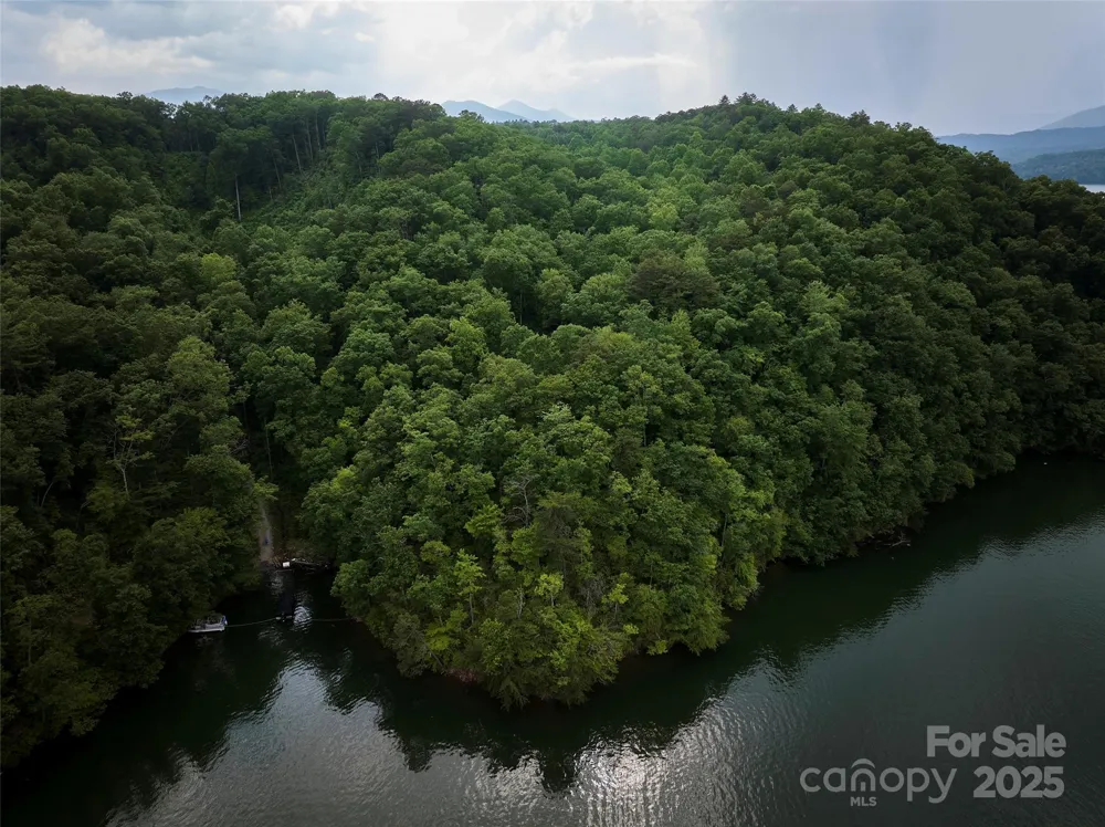 0 Bailey Fields Road Robbinsville, NC 28771