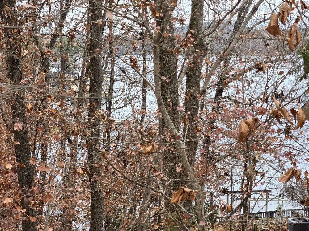 0 Shoreline Road #107 Badin Lake, NC 28127