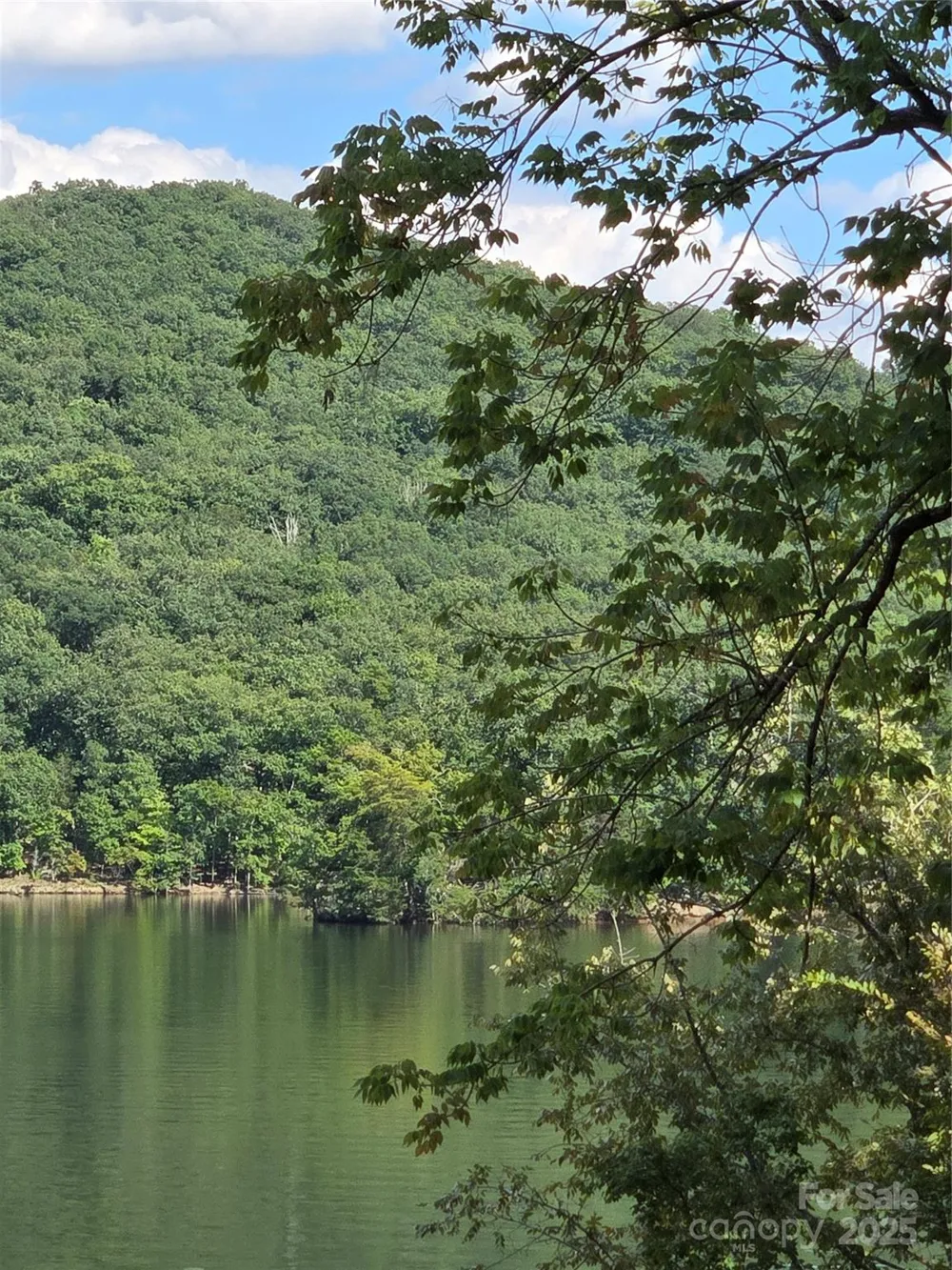 0 Shoreline Road #107 Badin Lake, NC 28127