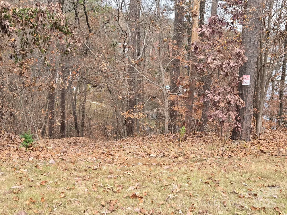 0 Shoreline Road #107 Badin Lake, NC 28127