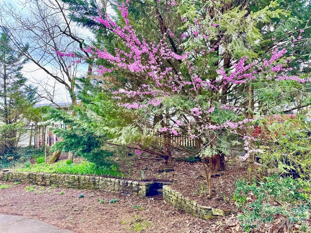 297 Hillside Street Asheville, NC 28801