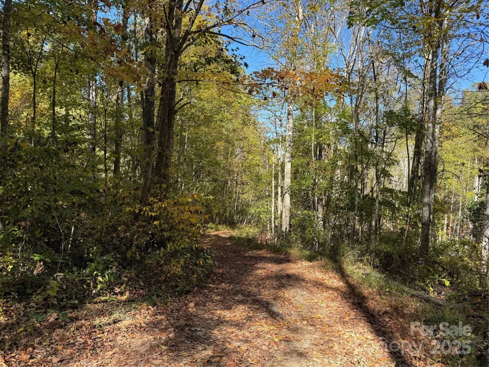 000 Hamburg Road #49 Mars Hill, NC 28754