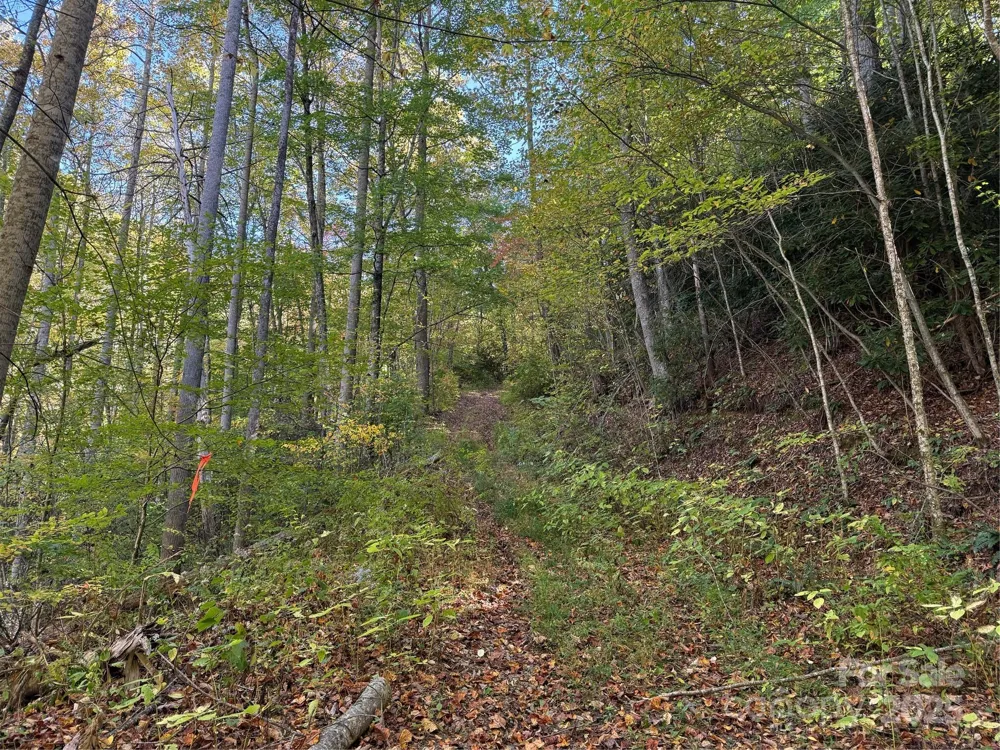 000 Hamburg Road #49 Mars Hill, NC 28754