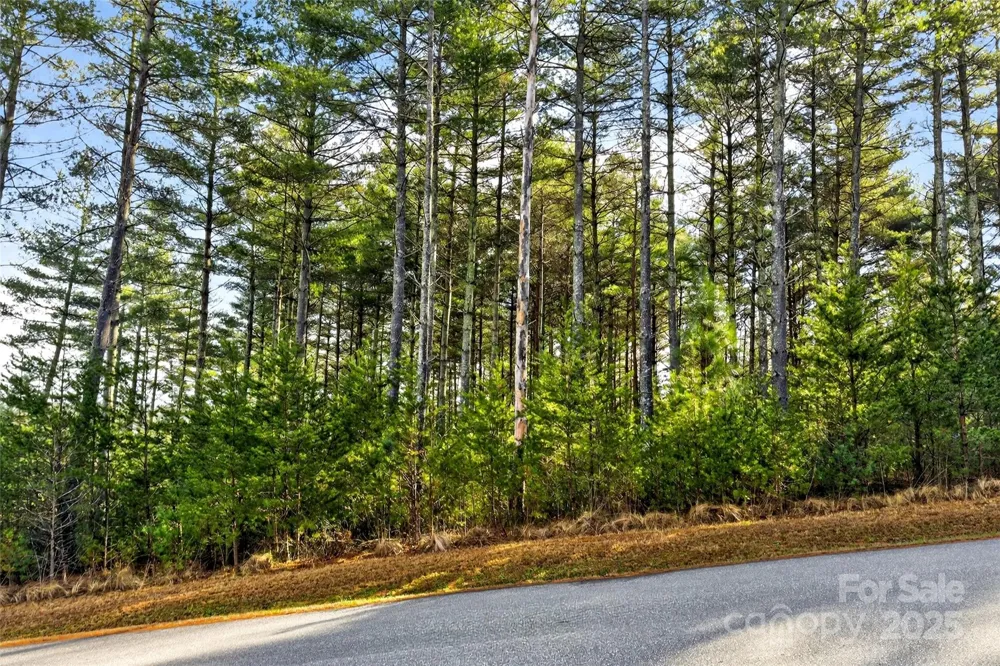 365 Peninsula Reserve Road #25 Nebo, NC 28761