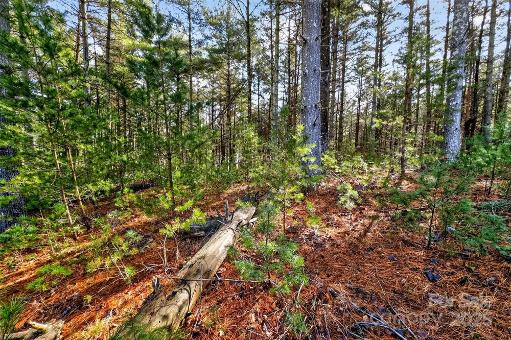 365 Peninsula Reserve Road #25 Nebo, NC 28761