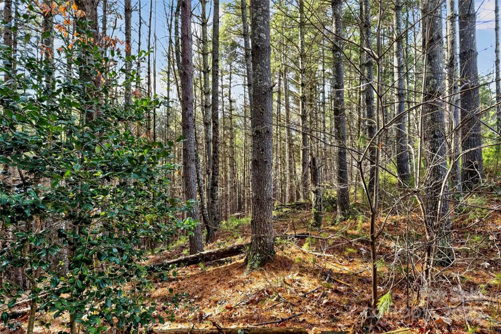 365 Peninsula Reserve Road #25 Nebo, NC 28761