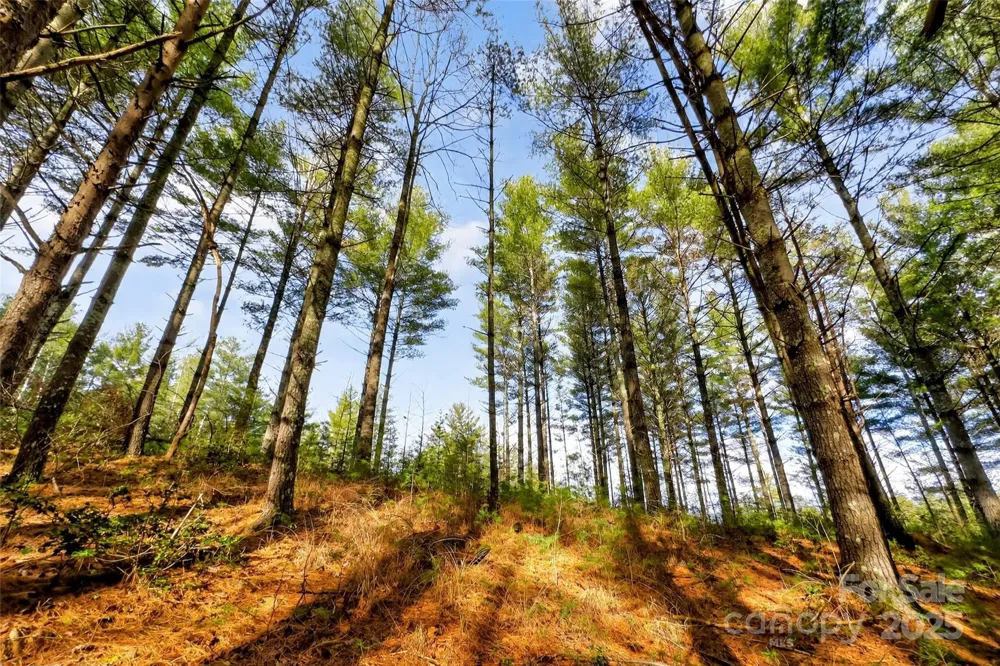 365 Peninsula Reserve Road #25 Nebo, NC 28761