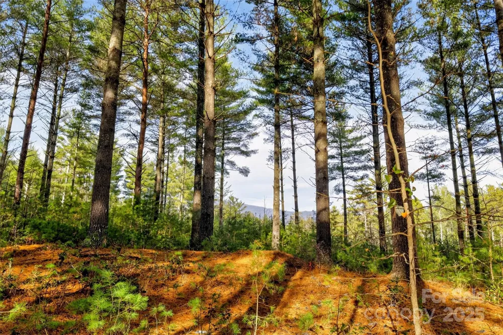 365 Peninsula Reserve Road #25 Nebo, NC 28761