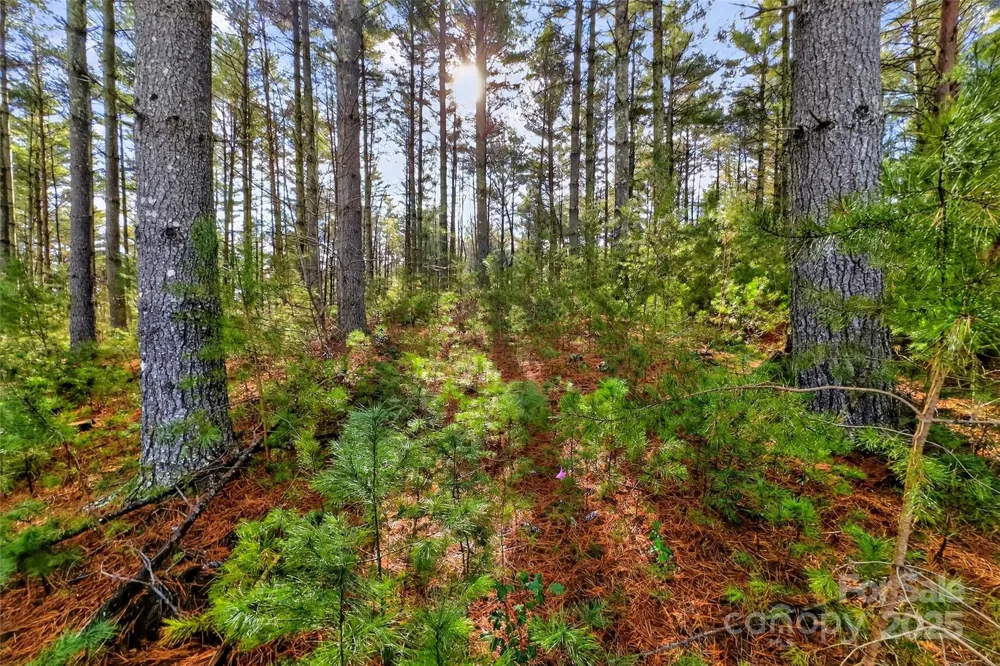 365 Peninsula Reserve Road #25 Nebo, NC 28761