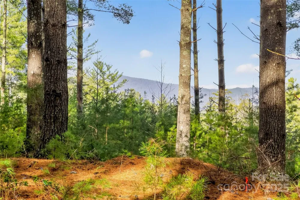365 Peninsula Reserve Road #25 Nebo, NC 28761