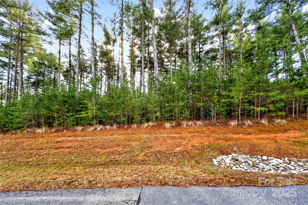 365 Peninsula Reserve Road #25 Nebo, NC 28761