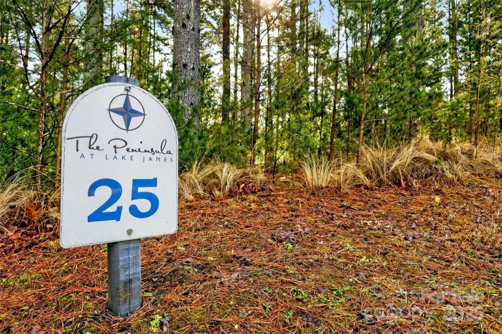 365 Peninsula Reserve Road #25 Nebo, NC 28761