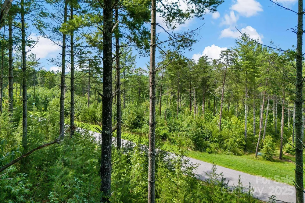 365 Peninsula Reserve Road #25 Nebo, NC 28761