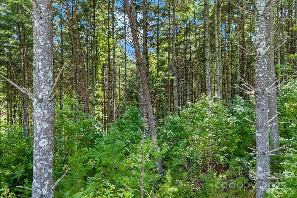 365 Peninsula Reserve Road #25 Nebo, NC 28761