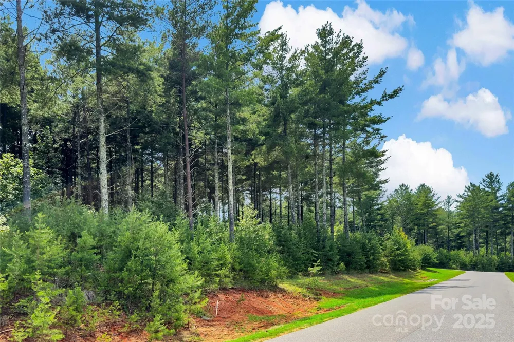365 Peninsula Reserve Road #25 Nebo, NC 28761