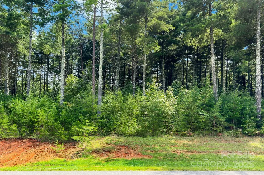 365 Peninsula Reserve Road #25 Nebo, NC 28761