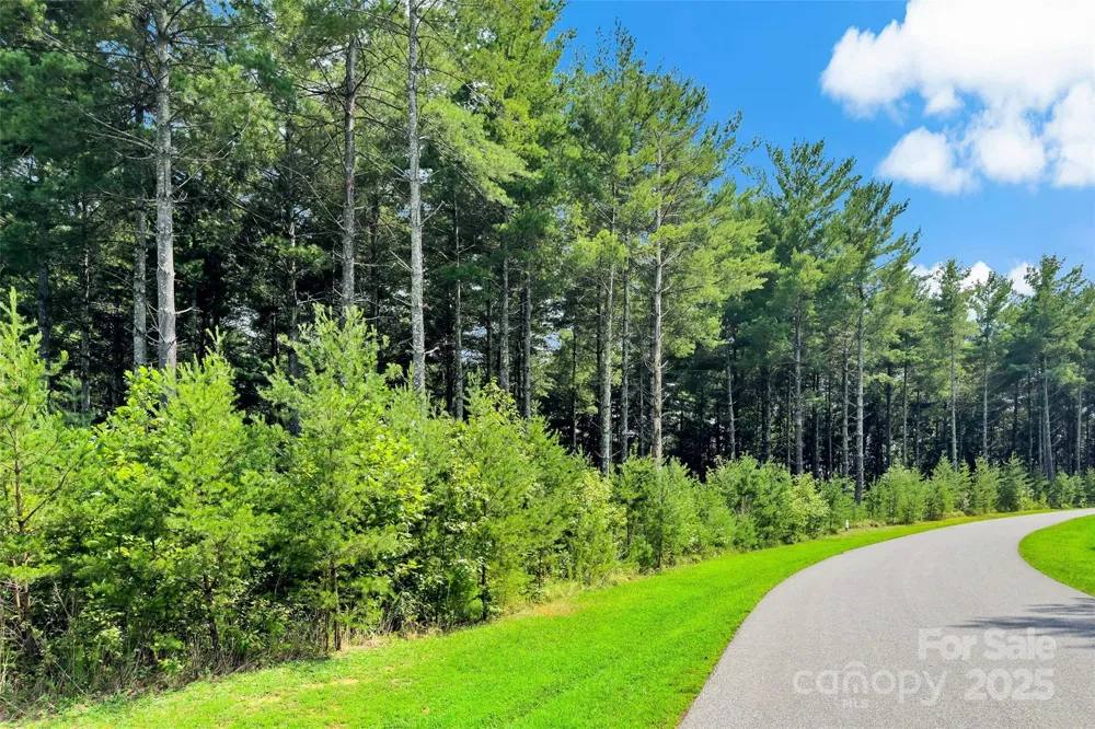 365 Peninsula Reserve Road #25 Nebo, NC 28761