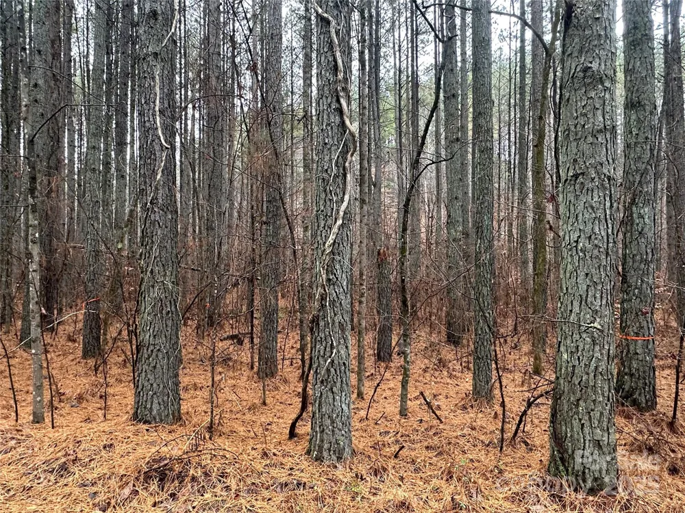 0 Frog Creek Road Union Mills, NC 28167