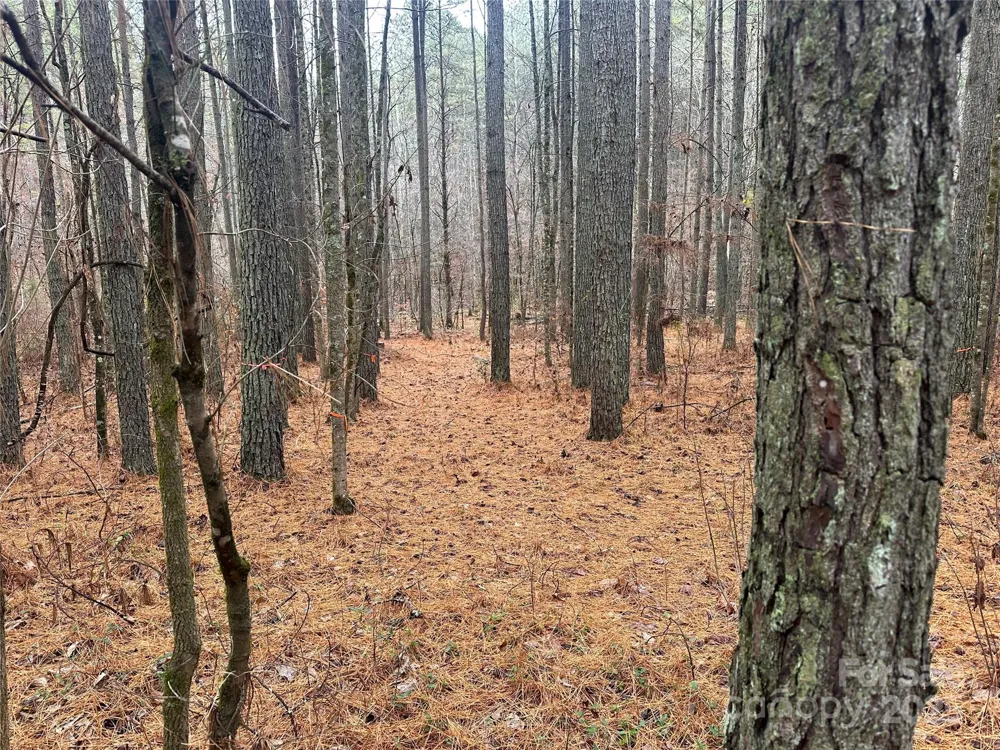 0 Frog Creek Road Union Mills, NC 28167