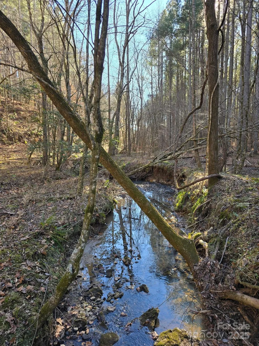 0 Frog Creek Road Union Mills, NC 28167