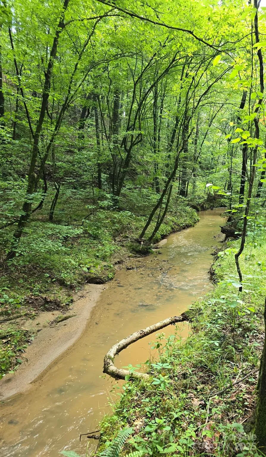 0 Frog Creek Road Union Mills, NC 28167