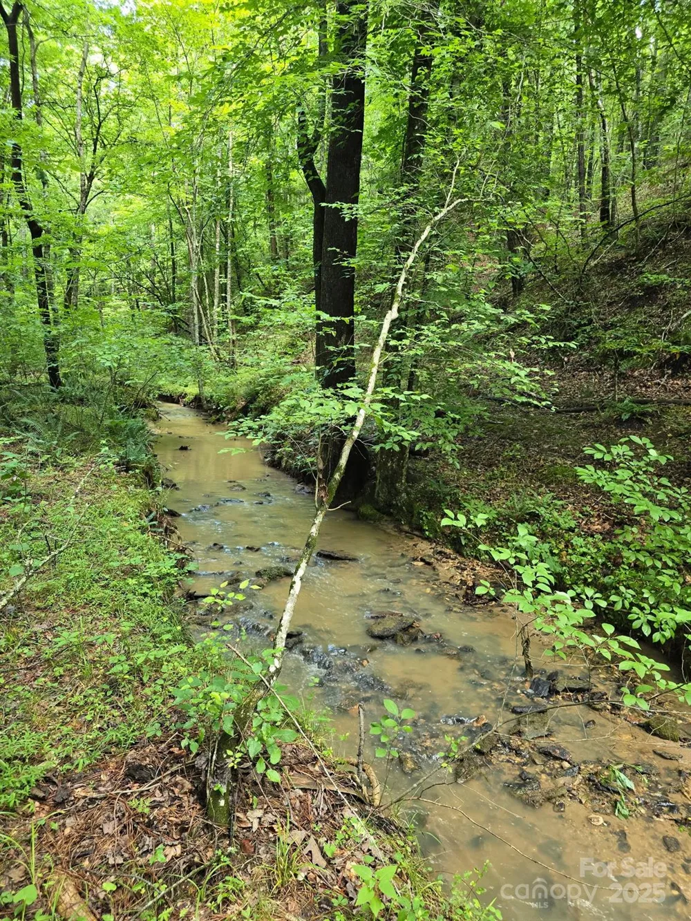 0 Frog Creek Road Union Mills, NC 28167