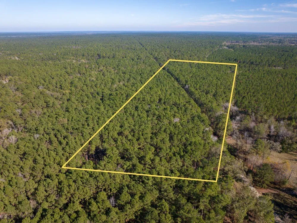 Forest Service Road 527 Apple Springs, TX 75926