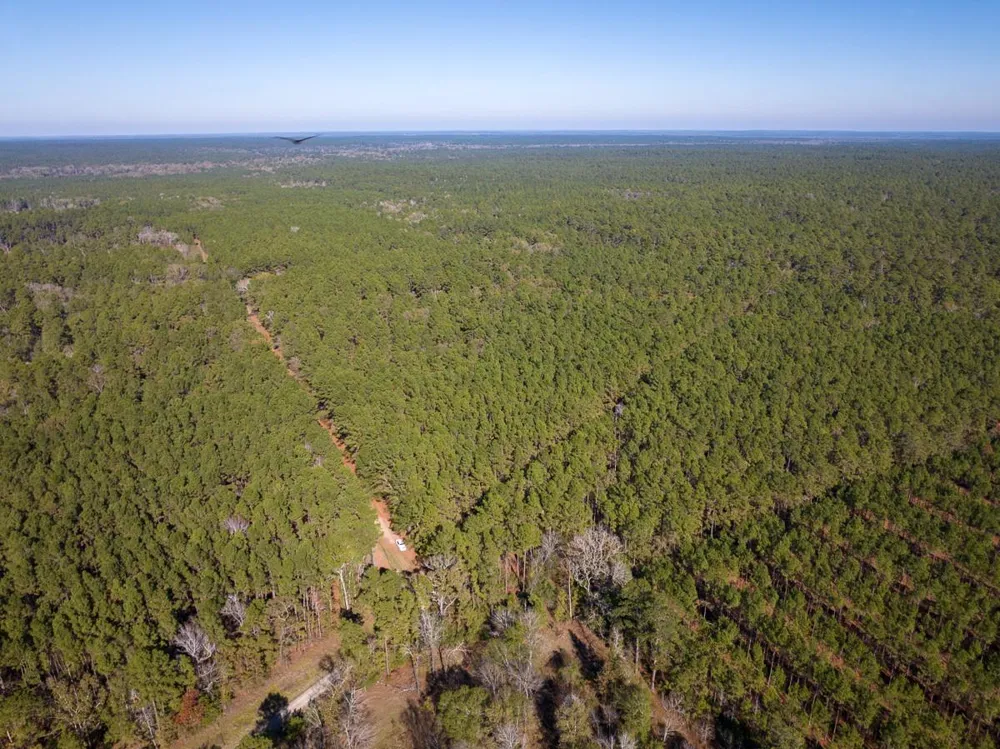 Forest Service Road 527 Apple Springs, TX 75926