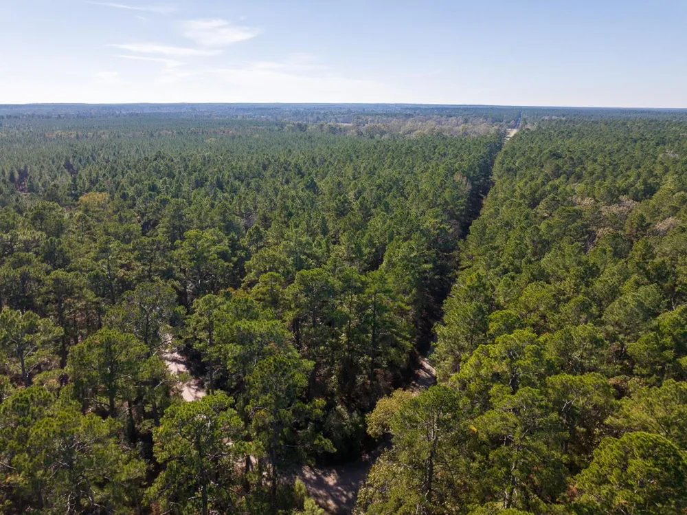 Forest Service Road 527 Apple Springs, TX 75926