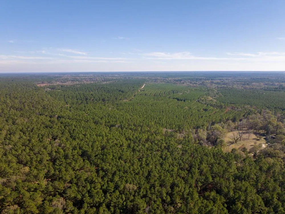 Forest Service Road 527 Apple Springs, TX 75926