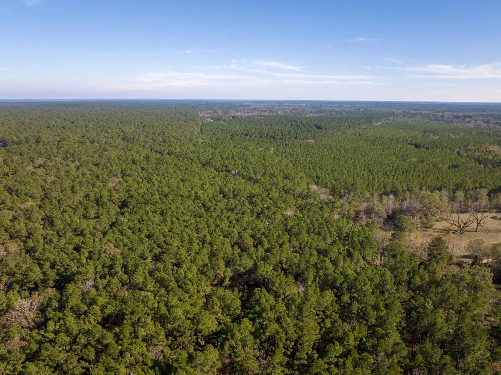 Forest Service Road 527 Apple Springs, TX 75926