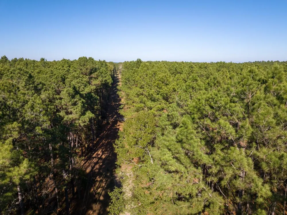 Forest Service Road 527 Apple Springs, TX 75926