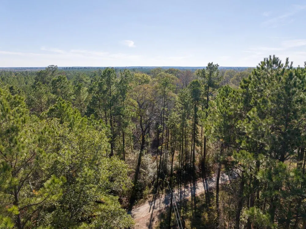 Forest Service Road 527 Apple Springs, TX 75926